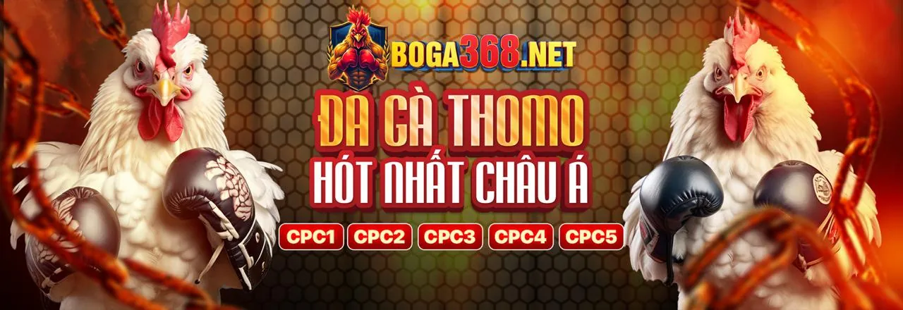 Chú gà chiến mạnh mẽ tại đấu trường f8bet casino